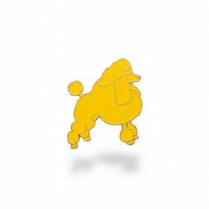 Sigma Gamma Rho Lapel Pin