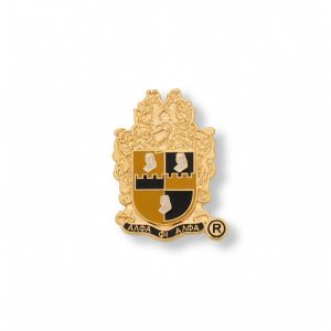 APA Pin